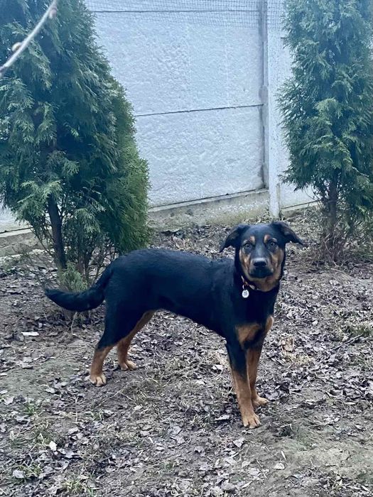 Погода в пошуках дому