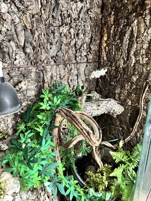 Terrarium 120 agama legwan kameleon bazyliszek