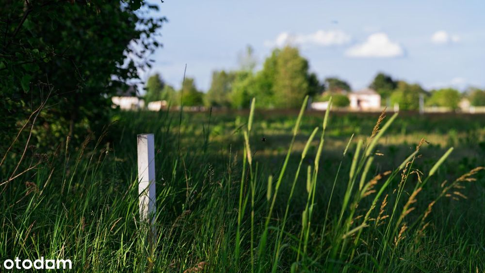 Jezioro Piaseczno-działki blisko plaży Pojezierze Łęczyńsko Włodawskie
