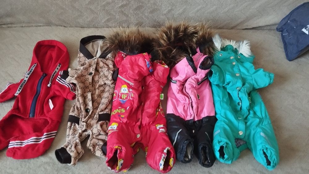 Одяг для собак Чехухуа міні