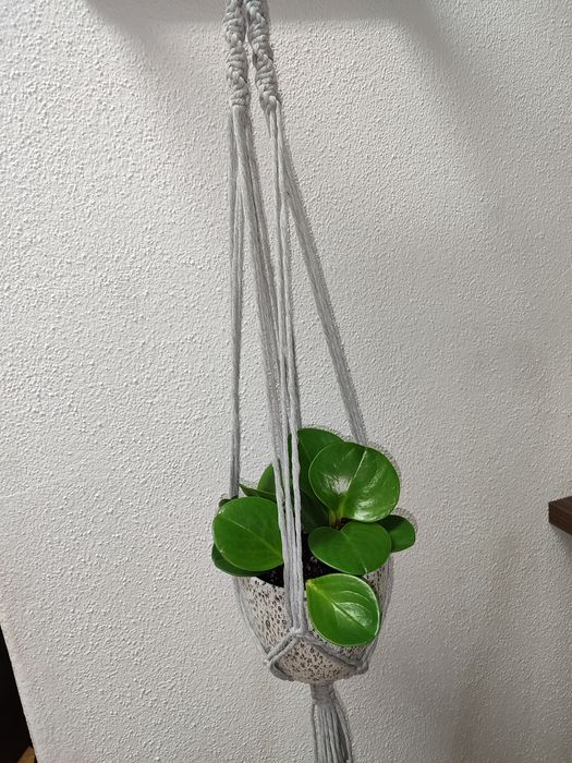 Suporte de plantas macramé