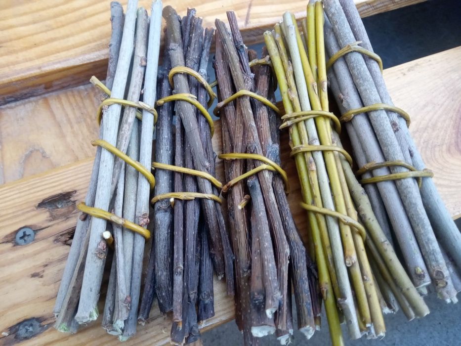 Корм для шиншил гризунів сточуваня зубів гілочки ветки