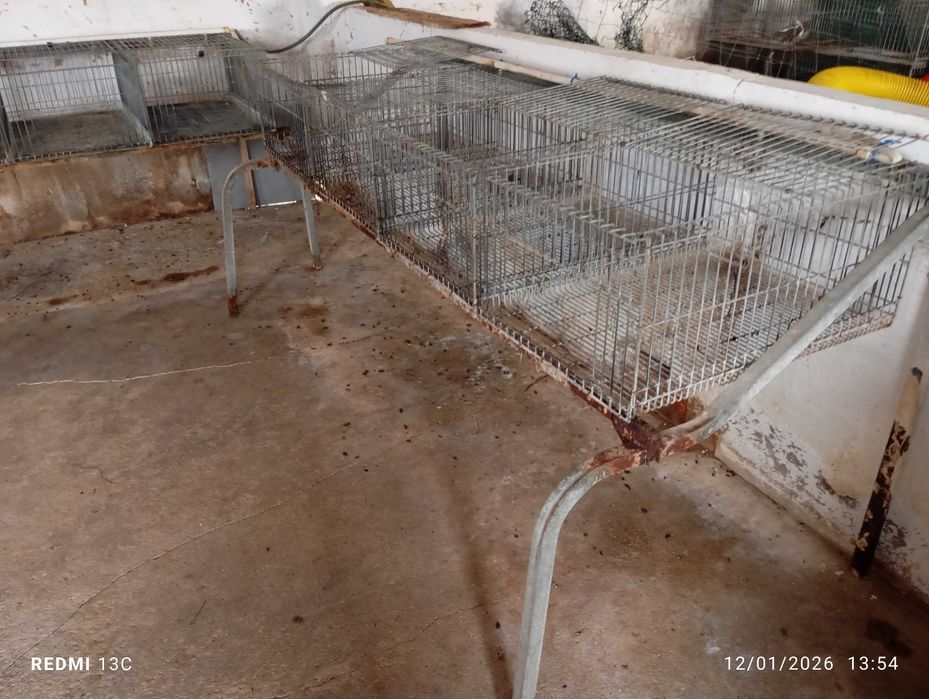 Jaulas /para coelhos