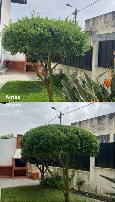 Manutencao de terrenos