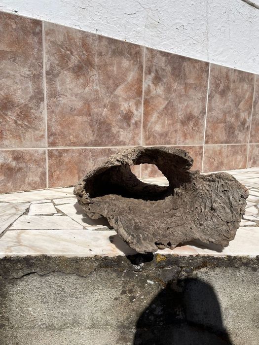 Cortiça para Terrário/Aquário - Mais informações dm