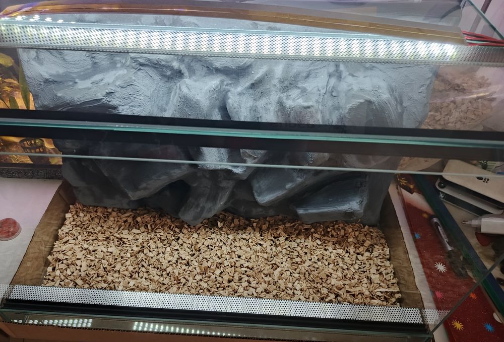 Terrarium nowe ze ścianką