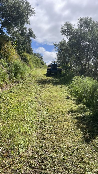 Limpeza de terreno