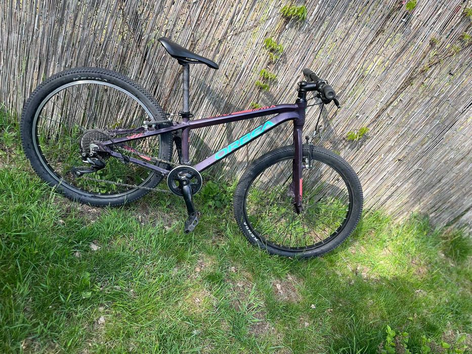 rower orbea mx 24