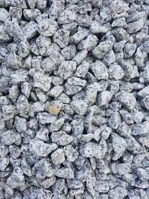 Kamień grys dalmatyńczyk oryginał granitowy oryginalny grys ozdobny tra