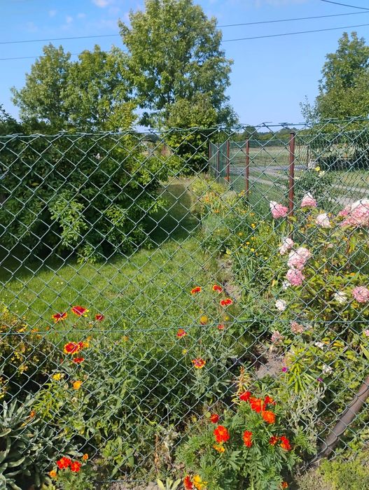 Mieszkanie – Żurawce, Nowy Świat - Widok 3