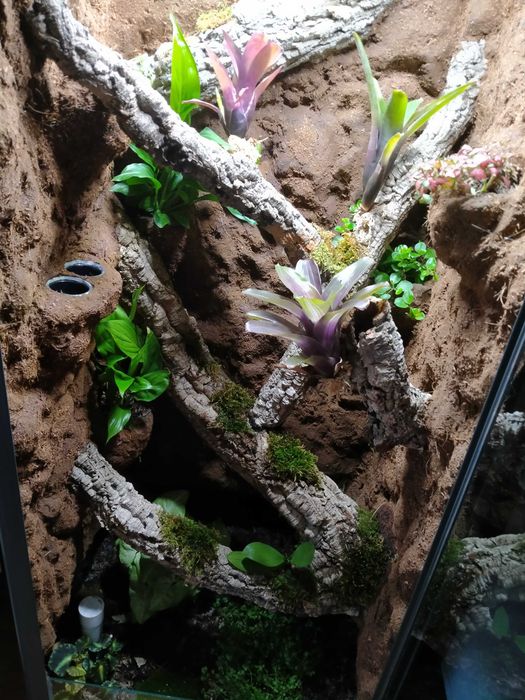 Wyjątkowe terrarium z witryny Fabrikör IKEA
