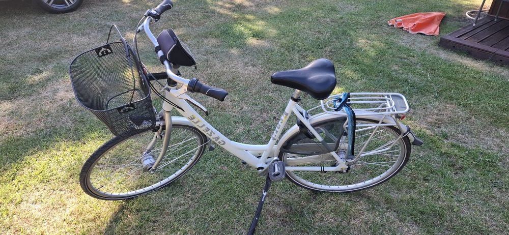 Rower holenderski Gazelle