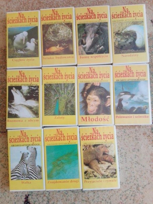 Filmy przyrodnicze DVD