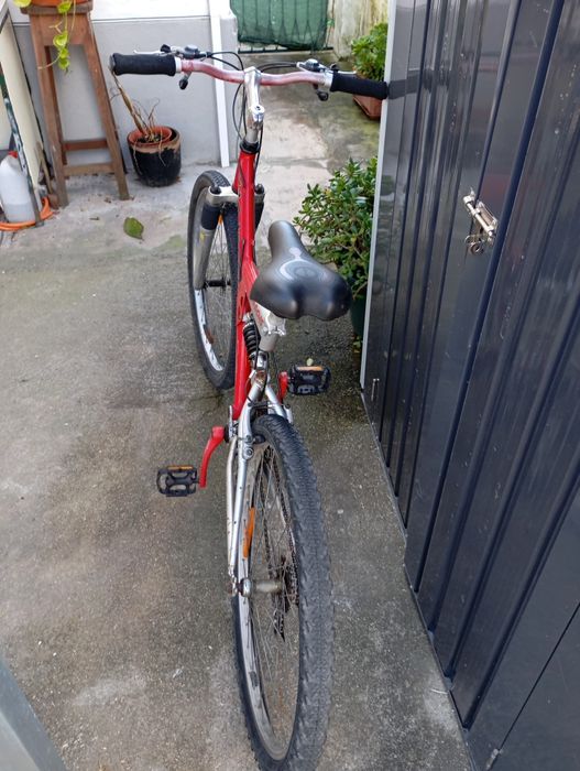 Bicicleta Ximano