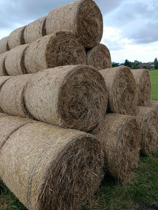 Sprzedam siano i słomę