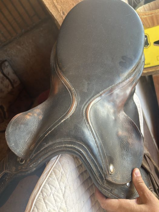 Vende se sela de equitacao por 50€