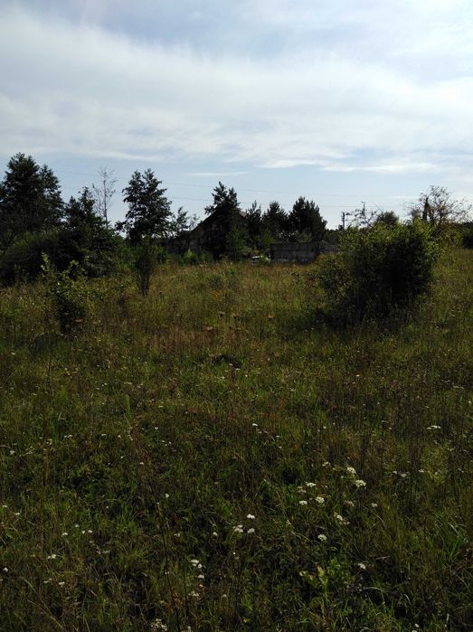 Земля під будівництво