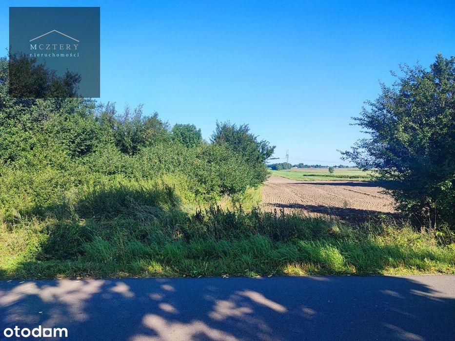 Sprzedam dużą działkę pod siedlisko lub dom/3998 m² - Widok 5