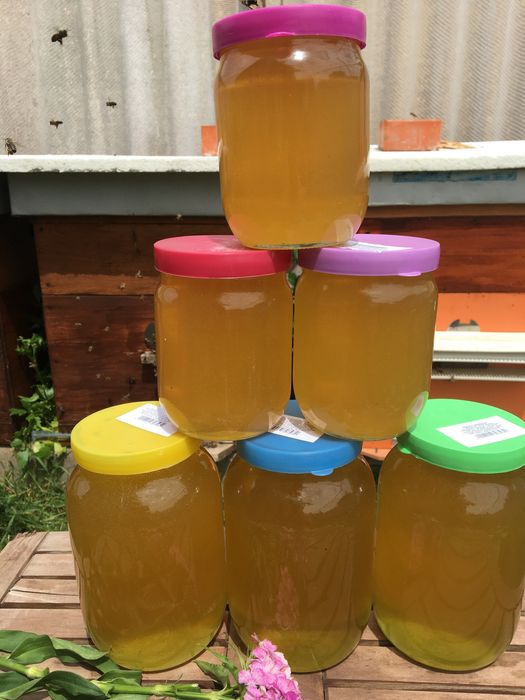 Домашний  натуральний мед !!!
