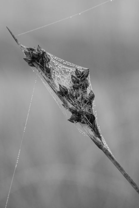 Lente Canon FD 35-105 f3.5