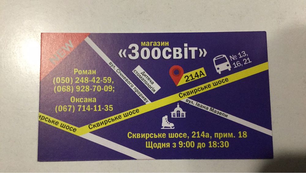 Продам декоративних щуриків