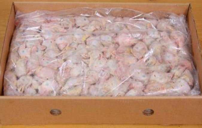 Голови курячі головы куриные