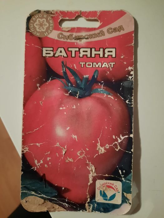 Nasiona pomidorów z Syberii