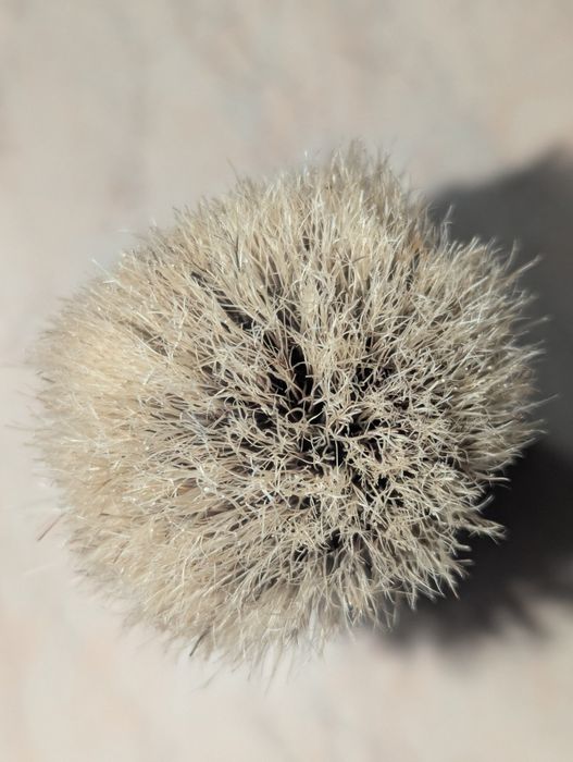 Помазок для бритья