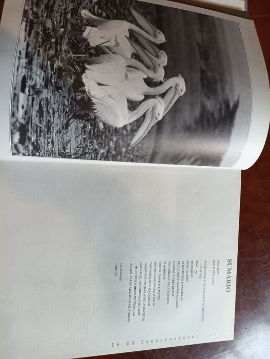 aves aquáticas Coleção Animais de todo o Mundo do Circulo de Leitores*