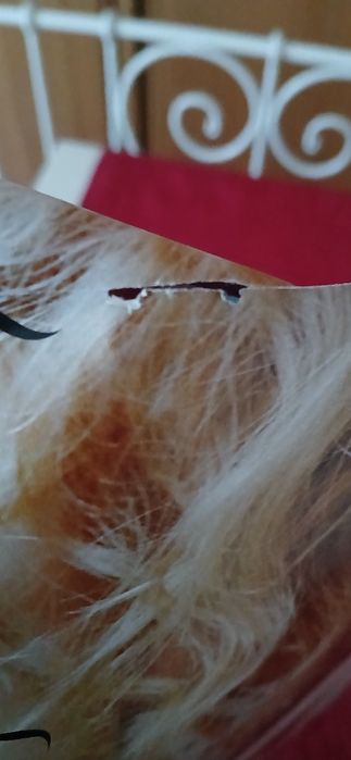 Poster Taylor Swift/Mcfly, com defeito