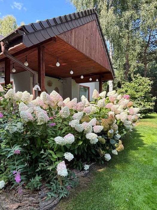 Usługi ogrodnicze - zakładanie ogrodów, pielęgnacja, przycinanie tuj