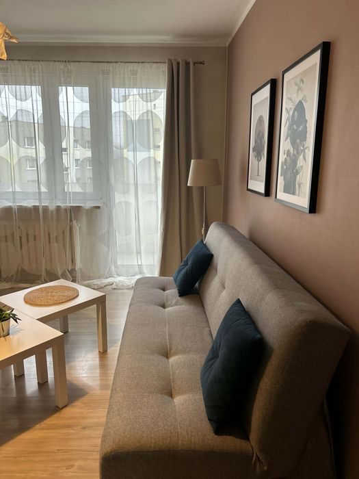 Mieszkanie do wynajęcia