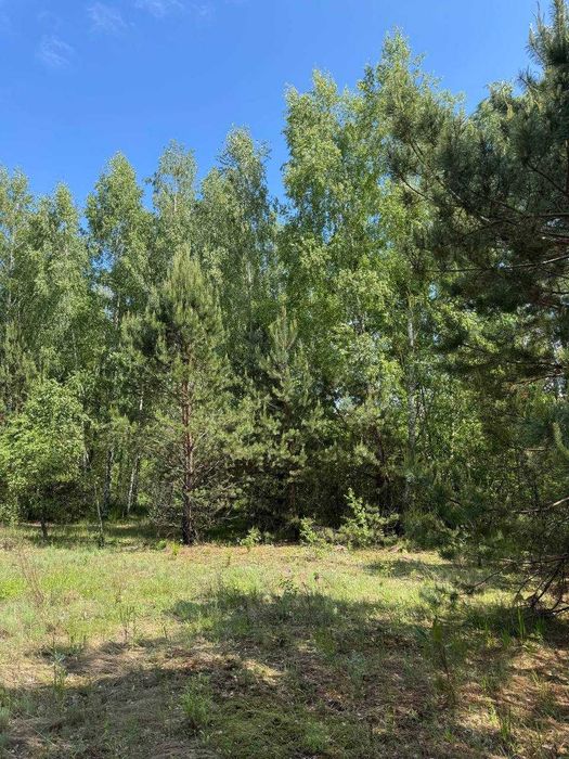 Земля серед лісу для прекрасного життя! 20хв до Києва! 4100$