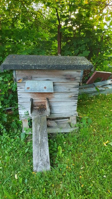 Sprzedam ule ul z pszczołami pszczoły pasieka