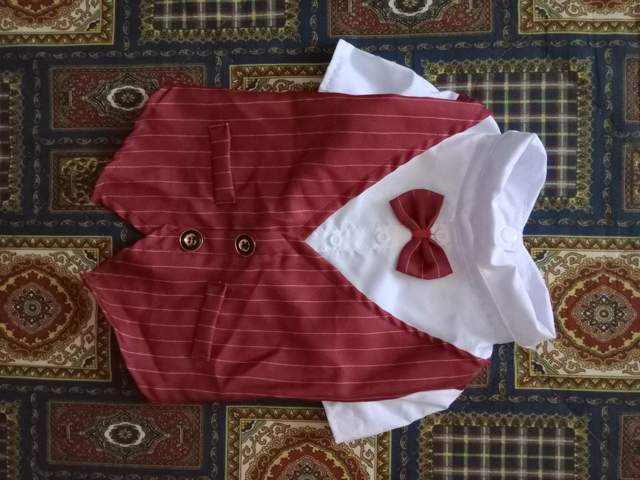 Одяг для собак і аксесуари