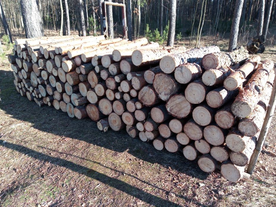 Drewno opałowe, kominkowe, sosna, opał, papierówka - 140 zł/mp