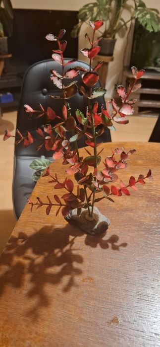 Roslinki sztuczne do akwarium