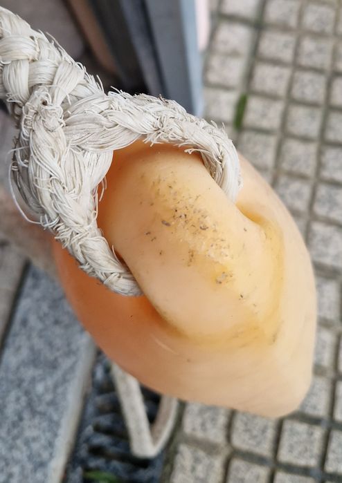 Prancha isn e acessórios