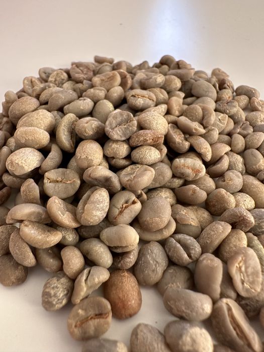 Кава в зернах Арабіка з Бразилії | Мішки від 15 до 50 кг | ОПТ