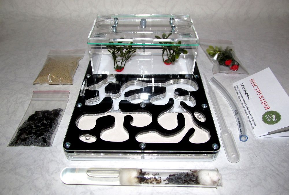 Муравьиная ферма (формикарий) «Anthouse» (черная) + муравьи-жнецы