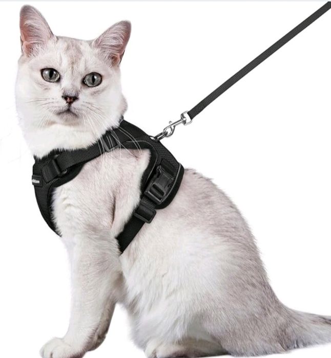 Zestaw uprzęży i smyczy dla kota M Rabbitgoo