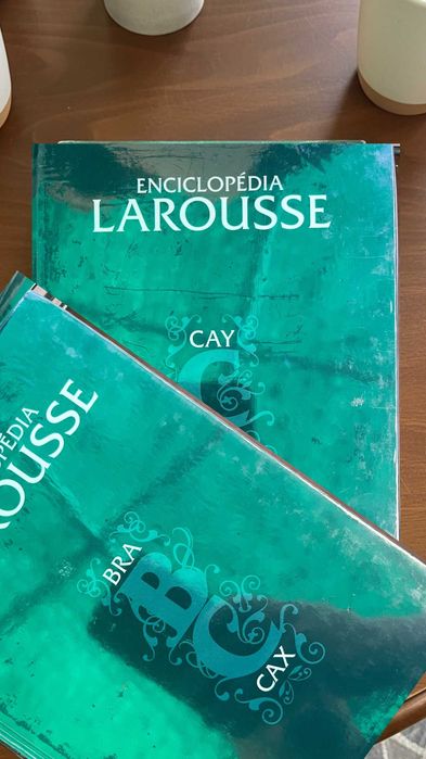 Enciclopédia Larousse 17 Volumes | Coleção de Livros Larousse | Embalada