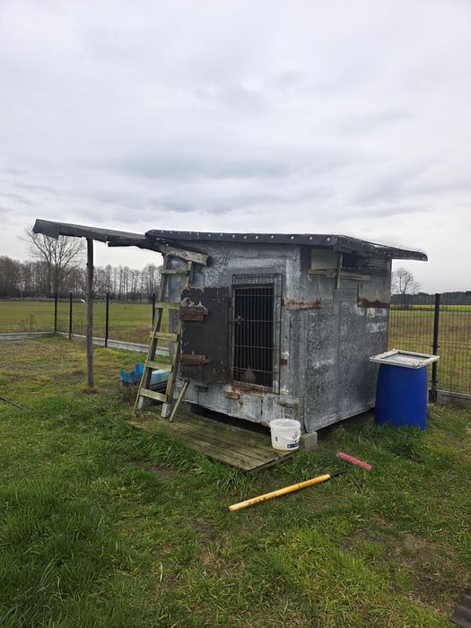 Gołębnik gotowy do użytkowania