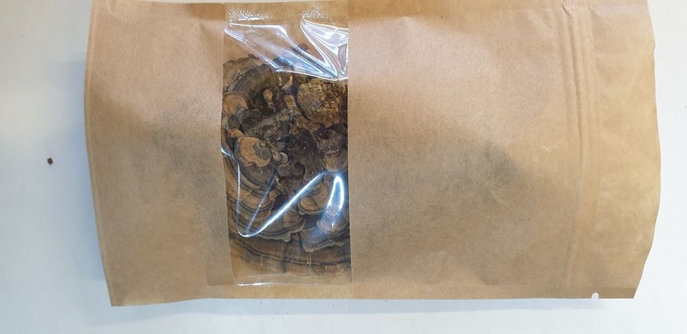 Wrośniak różnobarwny Trametes versicolor suszony 50 gram