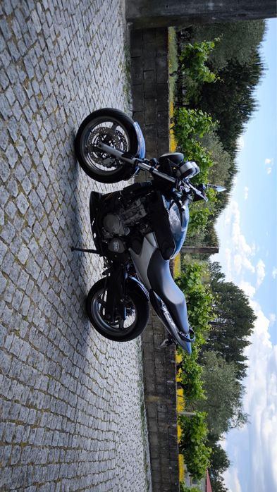 Hornet 600 25 kw