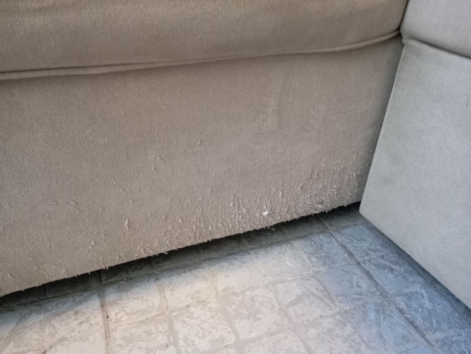 Sofá  com chaise longe, baú e cama.