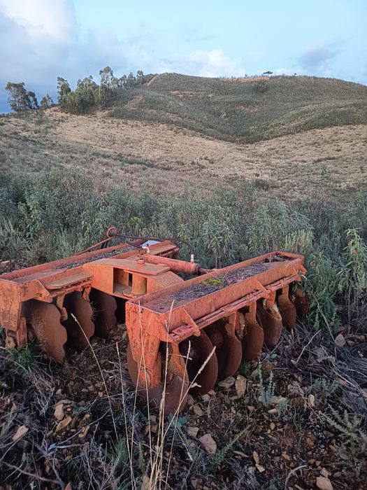 Trator Fiat de rastos