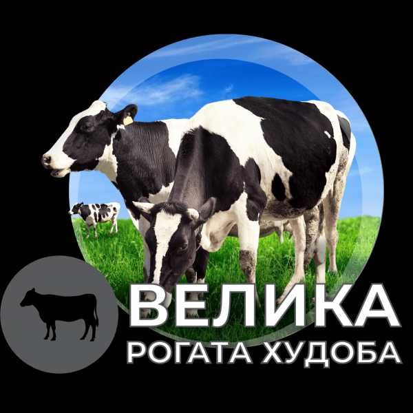 AVA GROUP Премікси бмвд від виробника  гарантована якість доставка