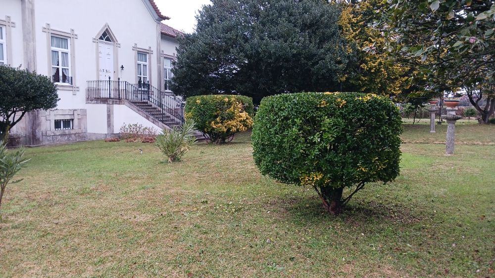 Serviço de jardim e etc.