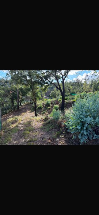 Vendo terreno com 1600 m2  zona de Gondomar -Melres